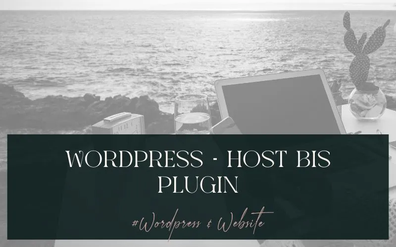 Host bis Plugin –  alles was du über WordPress-Webseiten wissen musst