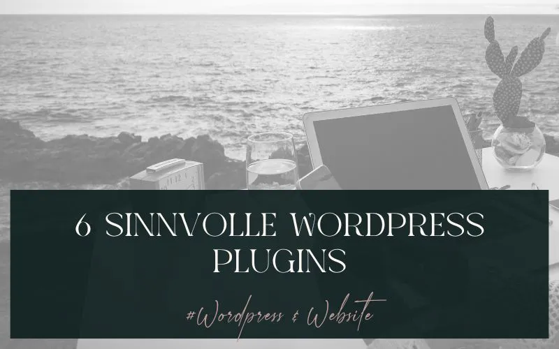 6 sinnvolle WordPress-Plugins (v.a. in Kombi mit Divi)